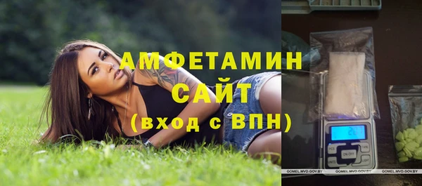 прущие грибы Балахна