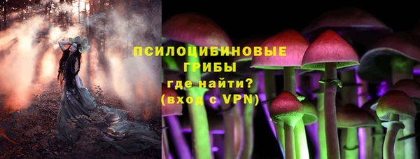 прущие грибы Балахна