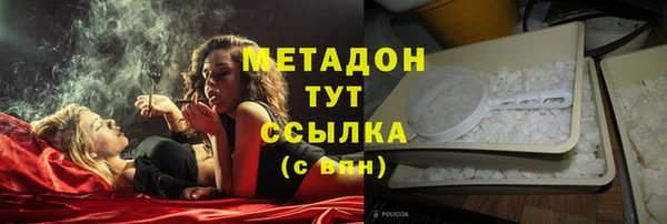 прущие грибы Балахна