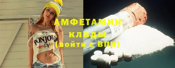 прущие грибы Балахна