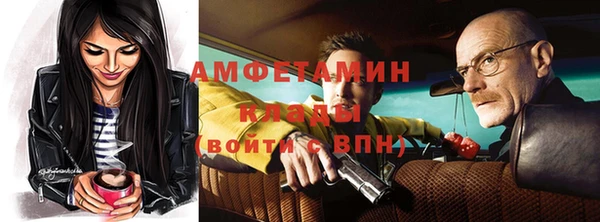 прущие грибы Балахна