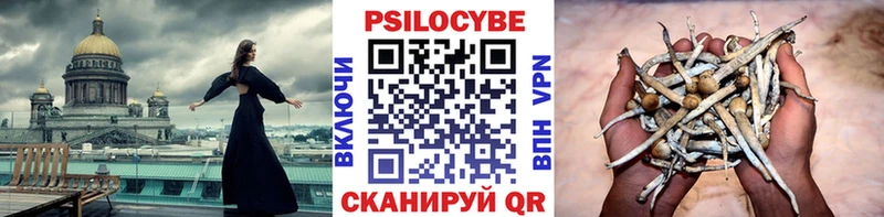 купить наркоту  Буй  Псилоцибиновые грибы Psilocybine cubensis 