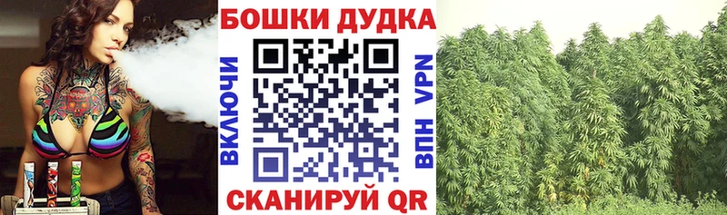 Бошки Шишки Bruce Banner  Буй 